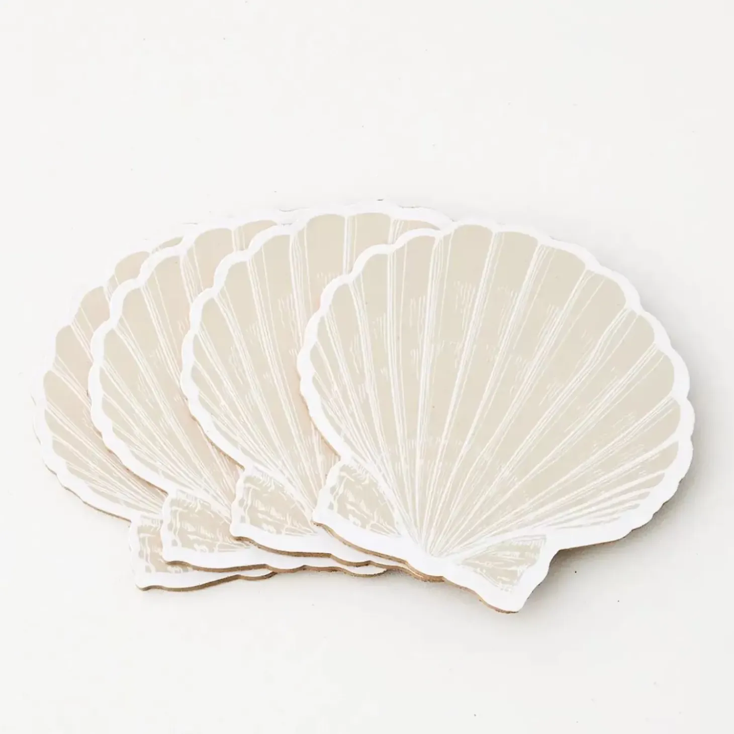 Clam Shell Coaster Set Of 4 Natural
