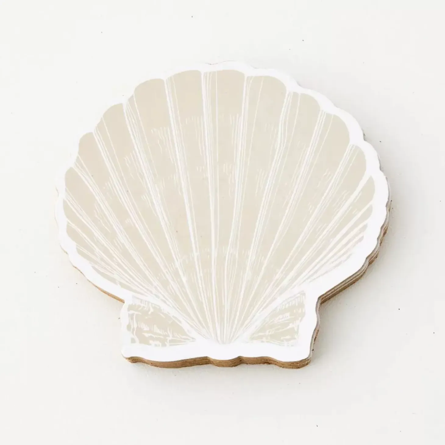 Clam Shell Coaster Set Of 4 Natural