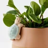Timmy Turtle Ceramic Pot Hanger